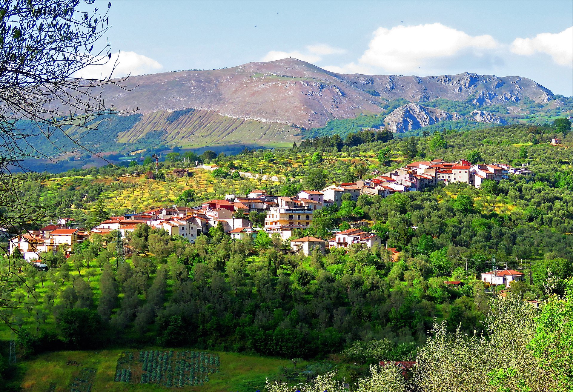 Pertosa